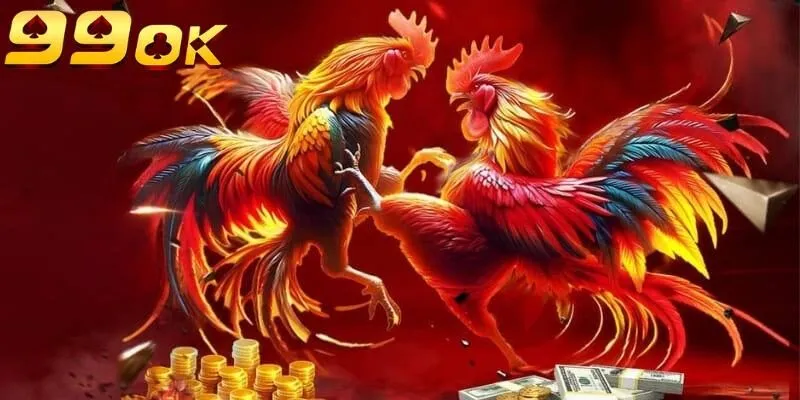 Top 5 giống gà chọi